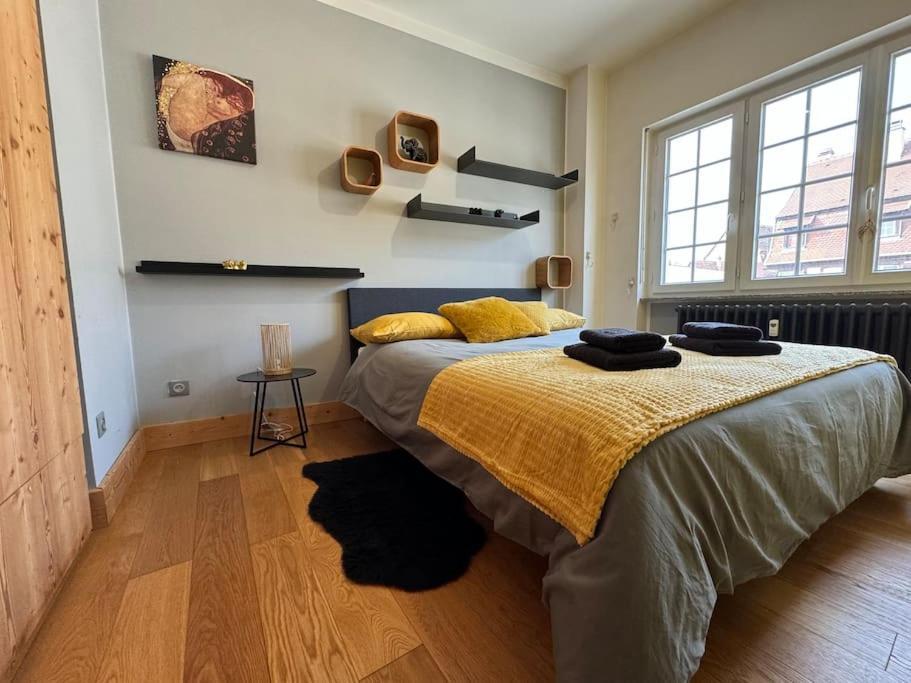 L'Arsenal - Appartement Centre Ville - Poche Commerces & Restaurant - 6 P Selestat Luaran gambar